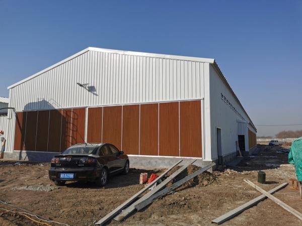 1000 Chickens Pasture Poultry Farm Industrial-Style Steel Chicken House for Gymnasium