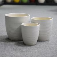 Une magnifique exposition végétale avec nos pots en céramique