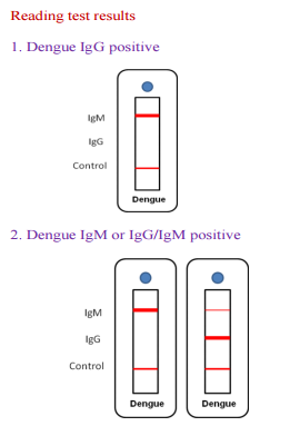 Одобренная КЭ кассета теста антитела набора теста антигена лихорадкаи Нс1 быстрая
