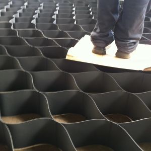 Human Organism Geo Cell Service Line with Sheet Thickness 1-3mm