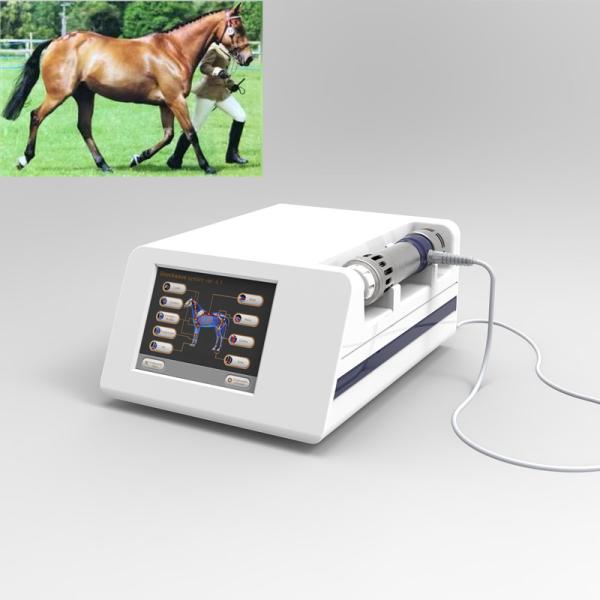 1Hz Equine Shock Wave Therapy Machine For Horses