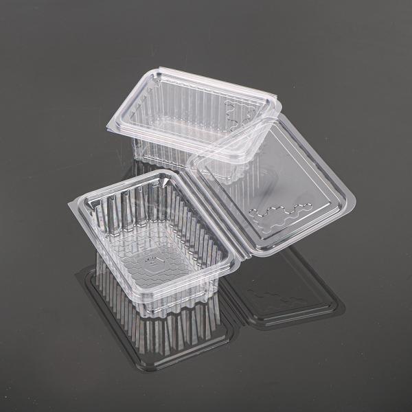 Hengmaster Food Grage Disposable Plastic Honeycomb Container Disposable PET Snack Tray