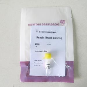 R2011 1000U RNase Inhibitor In Vitro Transcription
