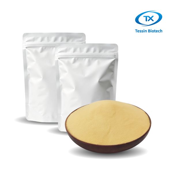 Nutritional Yeast Extract Powder Fermentation Derived 80 Mesh OEM