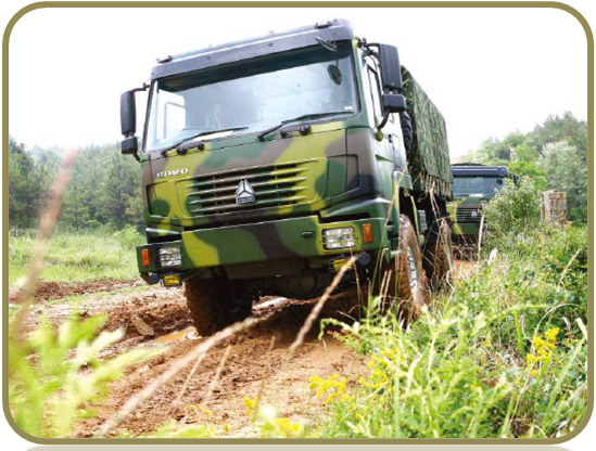 8x4 SINOTRUK Tipper Truck