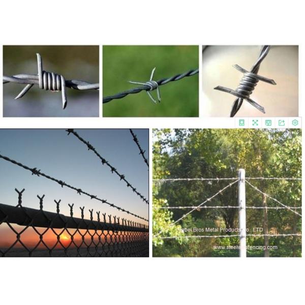 Hot Dipped Galvanized Barbed Wire Mesh Roll / Barbed Wire Mesh Fence Design