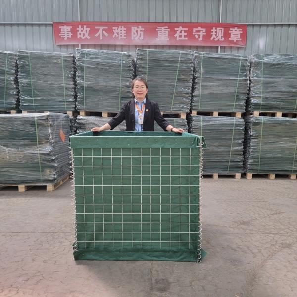 4.0mm Galvanized Steel HESCO Barriers for Defense