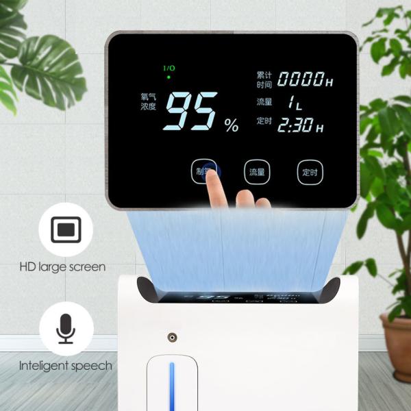 1Lpm Oxigen Generator Electric Oxygen Concentrator Concentrador Oxigeno Smart