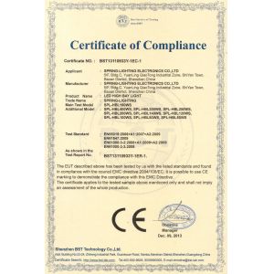Spring-lighting Electronics Co.,Ltd Certifications