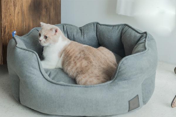Calming Plush Fluffy Anxiety Donut Dog Bed Medium L Xl Xxl Xxxl