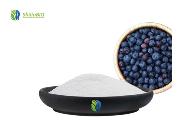 Blueberry Powder Bulk