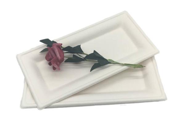 Sugarcane Rectangle Dinner 10×5” Biodegradable Food Trays