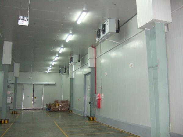 Casa Usando Energia Solar Container de 18 pés Sala de armazenamento frio com termômetro de cortina