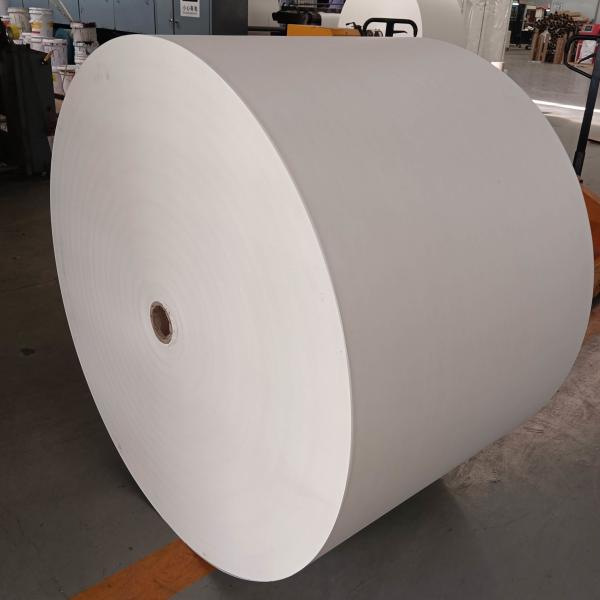 Biodegradable PE Coated Paper Roll Customizable For Food Packaging Solutions
