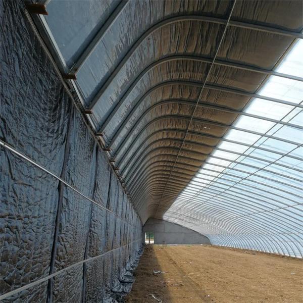 Túnel solar passivo do filme plástico da estufa do inverno da área fria único