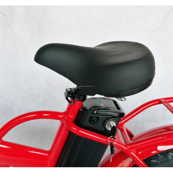 1000W 48V 21AH 7 Speed Disc Brake 20