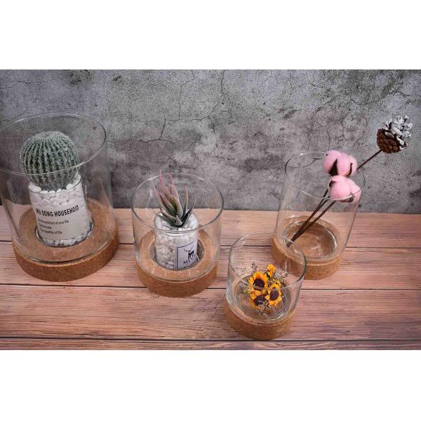 Toxicless Odorless Glass Jar Cork Wood Base Groove 2.5 Inch for Micro Landscape