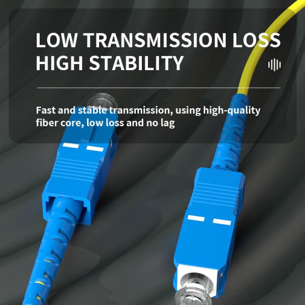 HXCOWO 12 Core SC Bundle Tail Single Mode Telecom Grade Head And Tail Fiber Optic Pigtail