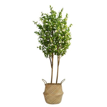 PE Fabric Artificial Camellia Tree White Flower Customized Size