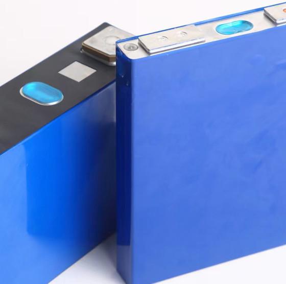 50Ah 48 Volt Lithium Ion Battery For Golf Cart 1.1kg With BMS Charger