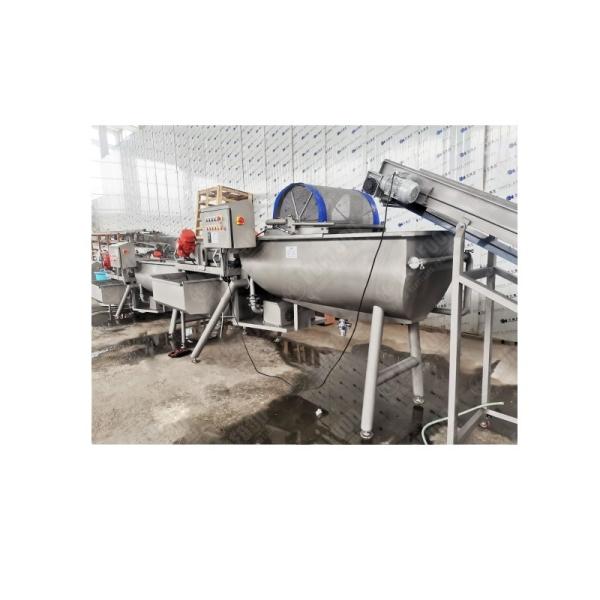 mushroom canning processing line