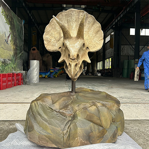 Handmade Fiberglass Dinosaur Bone Model Kit Triceratops Skull Replica