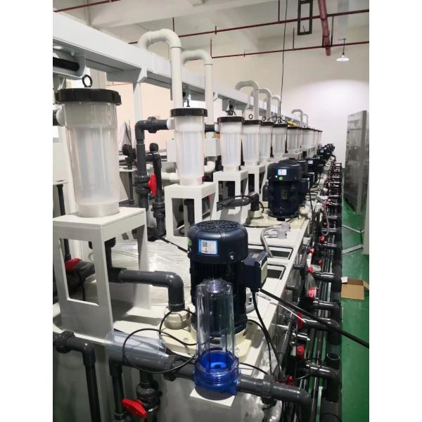 Socket/Thread Connection PVC High Pressure Ball Valve with Blue Handle in White Grey