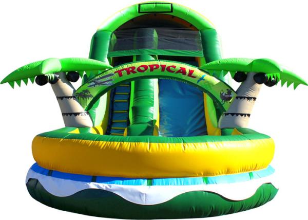 PVC Tarpaulin Kids Inflatable Water Slide Double Lanes Design Easy Maintain