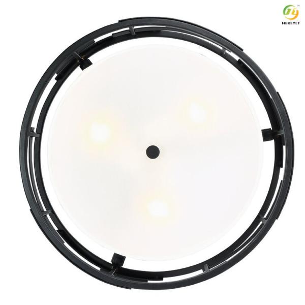 Used For Home/Hotel/Showroom LED Fashionable Atmosphere Ceiling  Light