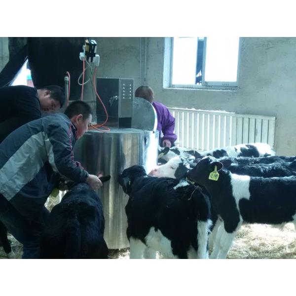 200L Electric Juvenile Bovine Milk Feeder with 15 Rubber Nipple Sucking