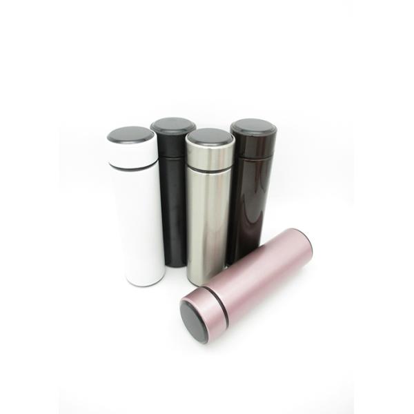 Promotional Thermos Hot Water Flask BPA Free Customized Logo And Color