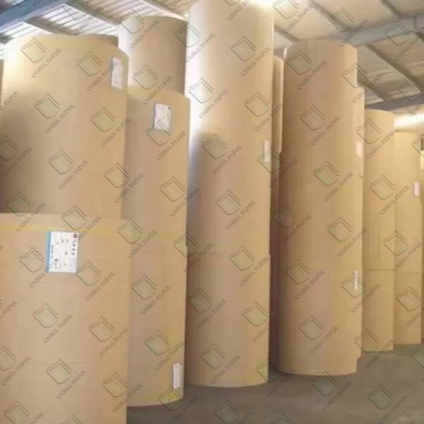 Folhas de revestimento de revestimento de revestimento de revestimento de revestimento de revestimento de revestimento de revestimento de revestimento de revestimento de revestimento de revestimento de revestimento de revestimento