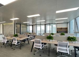 Gorelink Communication (Shenzhen) Co., Ltd.