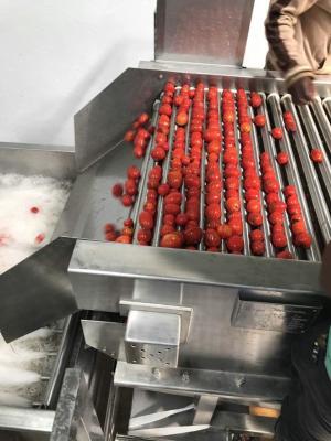 A máquina de processamento do tomate da baixa energia forçou - o peso do evaporador 200KG da circulação