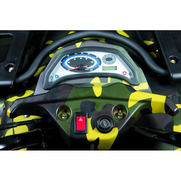 батарея 250cc ATV использующая энергию вся рука корабля местности контролировала 4x2 со снега дороги