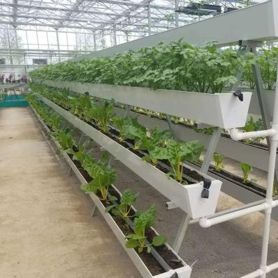 Estufas para a produção de produtos agrícolas em recipientes verticais de grande extensão com sistema de cultura de substrato