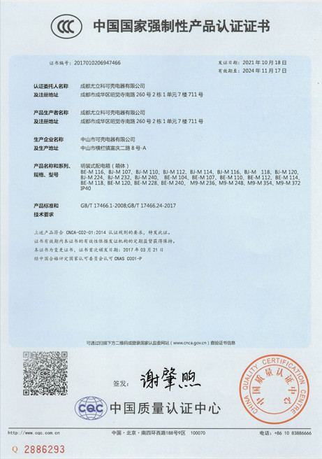 Chengdu Youlike Electric Co., Ltd. Сертификации