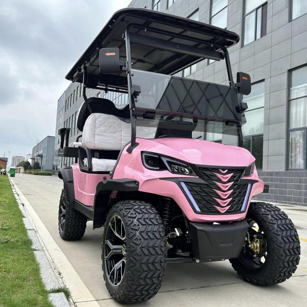 Electric Golf Cart With Canopy 60v 100ah Lead Acid Battery Front Bumper And Radio