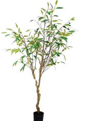 Plantas falsificadas realísticas de Asethetic, árvores artificiais da parte alta bonita contemporâneas