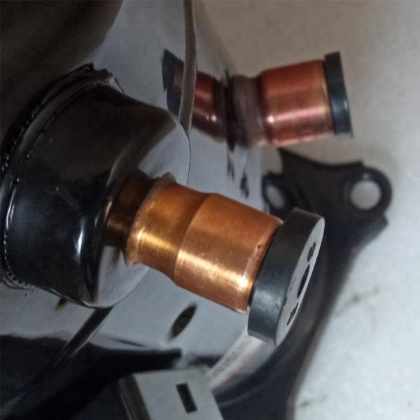 Compressor lubrificado Eco do armazenamento frio - poluição de ruído Zr61kc-Tfd de Frienldy não