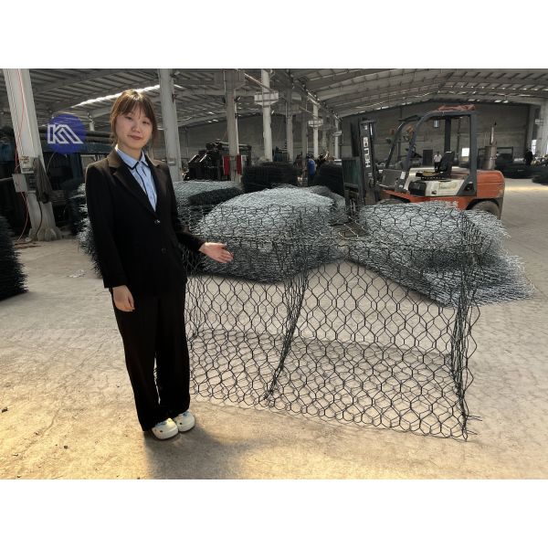 Hot-Dip Galvanized Gabion Basket Box Retaining Wall Hydraulic Sluice Gate Stone Armor Coastal Bank Stabilization