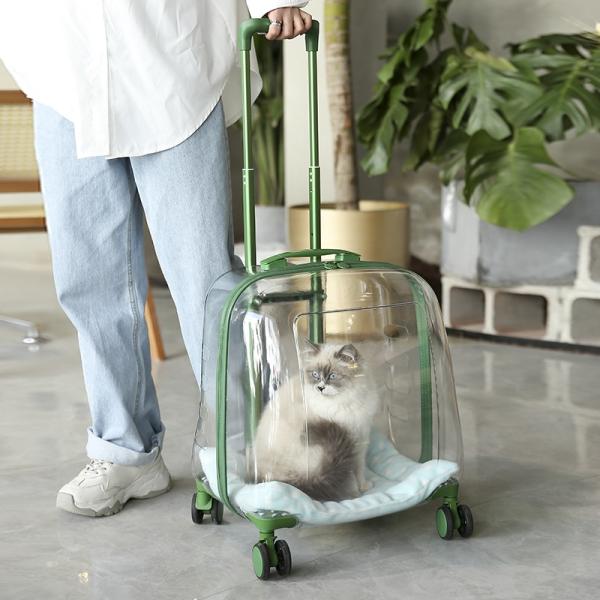 Sac de voyage pour animaux de compagnie en capsule transparente en matériau PC avec roue de chariot, grande capacité, bagage pour chat et chien, support portable transparent