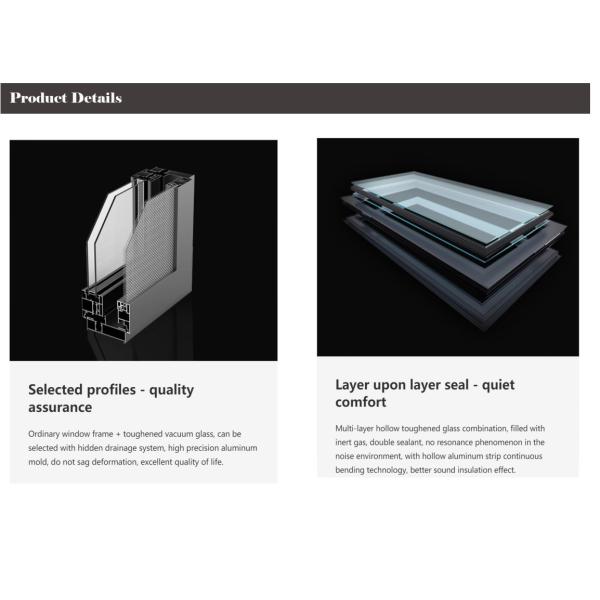 Black Anodized Frame Aluminum Pivot Door Horizontal Middle Turning