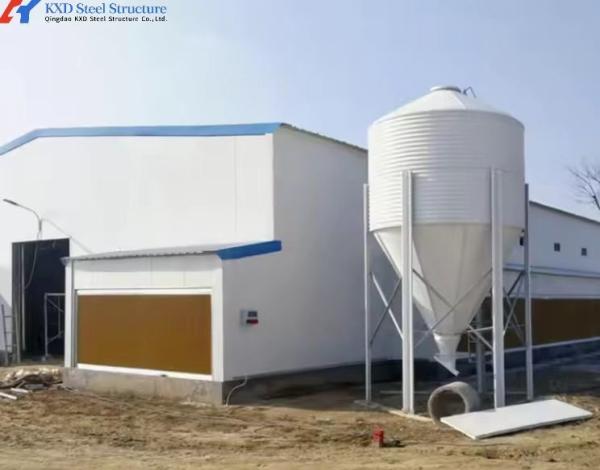 Prefabricated Steel Structure Chicken Farm House for Poultry Breeding