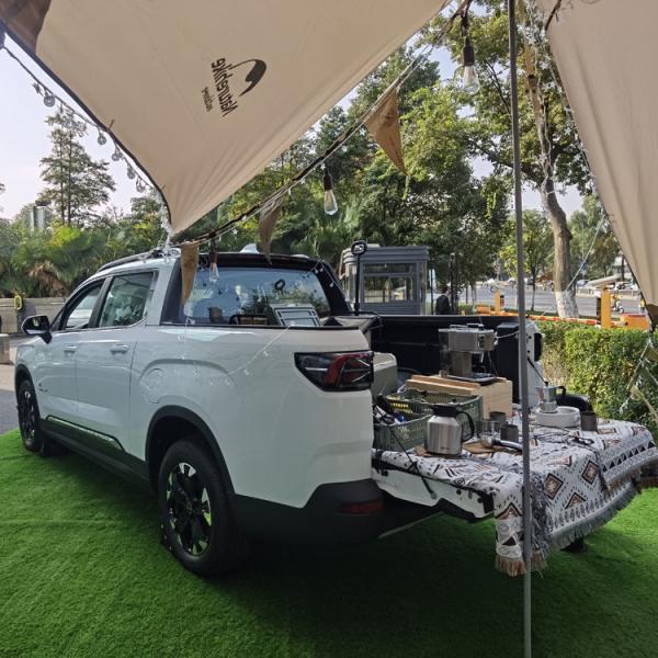 Pickup Truck Radar Adult Electric Utility Vehicle Geely Radar Rd6 Left Steering 200kW/power 100% Electric Car Energy Type