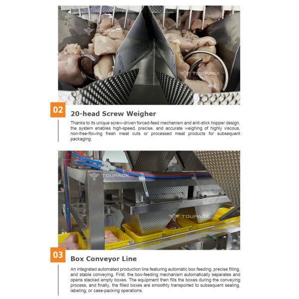 All-in-One Automated Tray Denesting & Filling Line with High-Precision Screw Multihead Weigher for Sticky Meat