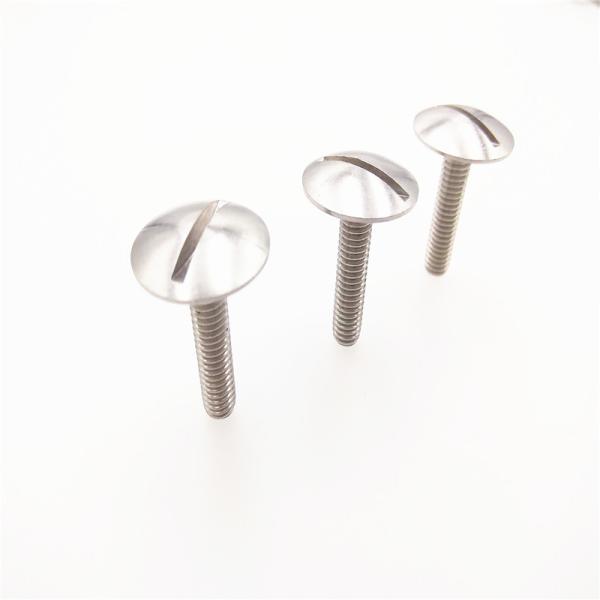 Stainless Steel Extra-Wide Truss Head Slotted Screws GB947 Big Truss Head Slotted Drive Screws ASME B18.6.3 Screw
