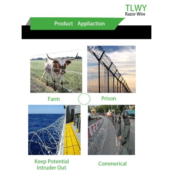 Высокий растяжимый провод CBT-65 бритвы концертины с одиночной катушкой