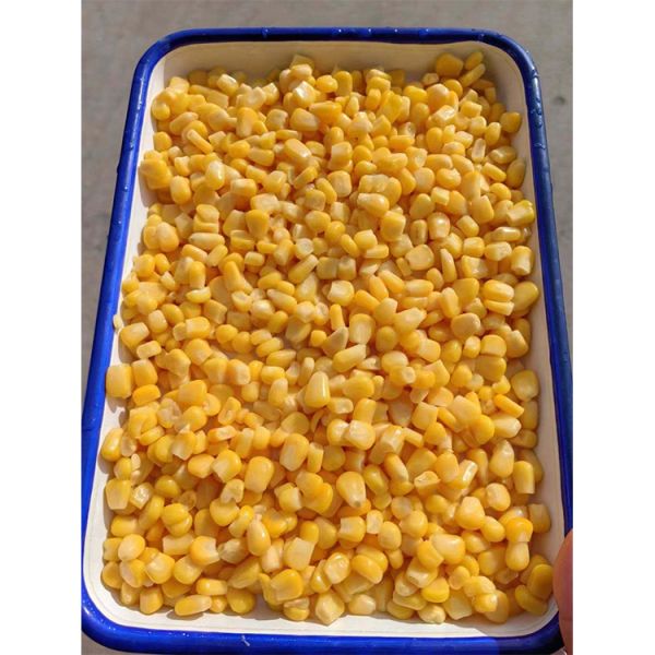 Wholesale Quality Fresh Cut Whole Kernel Sweet Fresh Corn Packaging Buy Sweet Corn Bulk Corn Canned