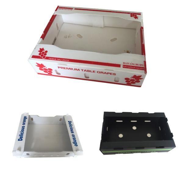 OEM ODM Fruit Packaging Box Lightweight Fruit Corrugated Boxes